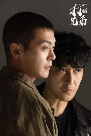 【打拐兄弟】30集短剧在线免费全集享