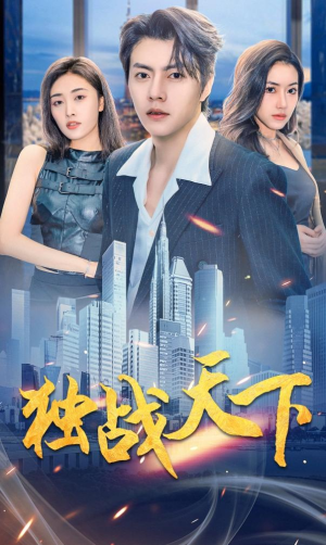 【独战天下】73集在线短剧全集免费畅看