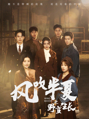 【风吹半夏之野蛮生长】59集免费短剧全集观瞧