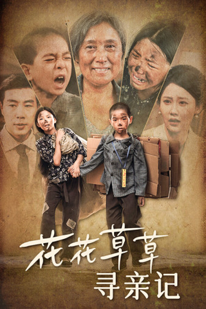 【花花草草寻亲记】42集免费短剧在线直看