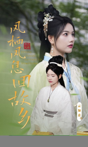 【凤栖凤息回故乡】36集在线短剧免费观看