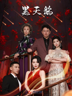 【黑天鹅】51集短剧全集在线免费观赏