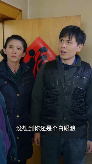 【福到我家】31集免费短剧在线完整看