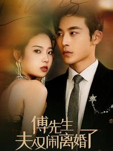 傅先生夫人又闹离婚了（80集）解说