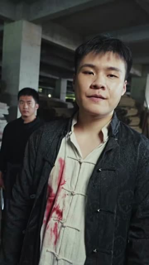 【功夫之王】71集短剧免费全集在线赏览