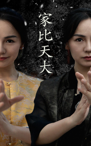 【家比天大】63集在线免费短剧全集畅看