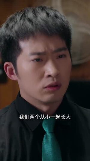 【过年回村我的爱情变了颜色】30集免费短剧在线完整观看