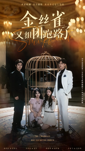 【金丝雀又组团跑路了（长篇）】全集短剧在线免费畅看