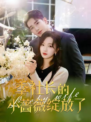 【季社长的小蔷薇绽放了】60集在线短剧全集免费看