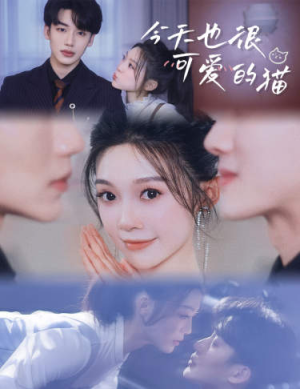 【今天也很可爱的猫】72集夸克短剧免费在线赏