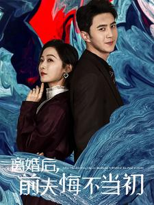 【离婚后前夫悔不当初】40集短剧在线高清观看