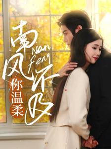 【南风不及你温柔】74集短剧全集高清在线观看