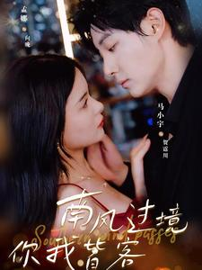 【南风国境你我皆客】80集夸克网盘短剧免费看