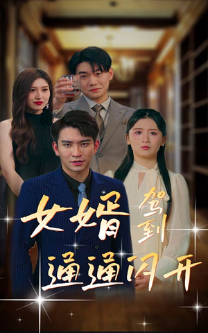 【女婿驾到，通通闪开】34集在线免费短剧全集览