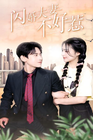 【闪婚夫妻不好惹】90集短剧免费在线完整看