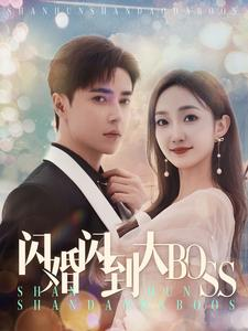 【闪婚闪到大BOOS】76集短剧免费在线赏看