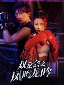 【双龙会之凤鸣龙吟】80集短剧免费畅享观看
