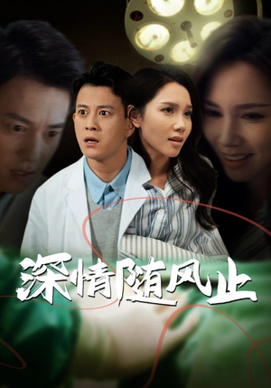 【深情随风止】54集免费在线短剧完整瞧