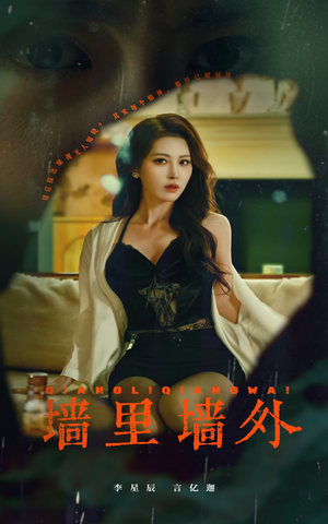 【墙里墙外】55集高清短剧在线赏看