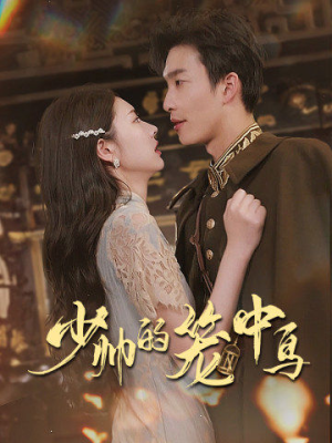 【少帅的笼中鸟】70集短剧在线免费观览