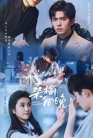 【桑榆向晚】65集短剧免费在线全集欣赏