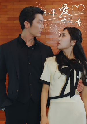 【如果爱有天意】80集短剧免费全集在线赏视
