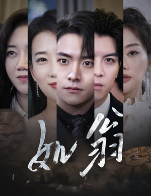 【如翁】32集在线免费短剧全集观览