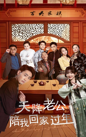 【天降老公陪我回家过年】60集短剧全集在线免费看