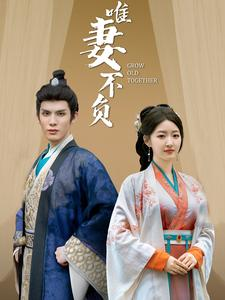 【唯妻不负】80集短剧免费全集观瞧