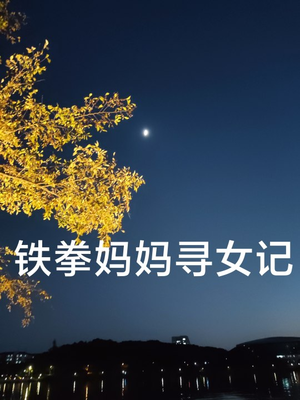 【铁拳妈妈寻女记】69集短剧免费高清在线看