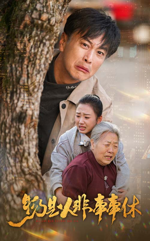 【物是人非事事休】41集看短剧全集免费