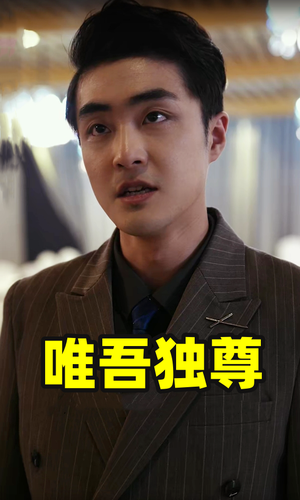 【唯吾独尊】96集短剧在线免费全集品鉴