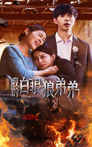 【我的白眼狼弟弟】69集免费短剧在线观影