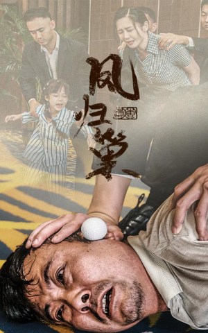 【新版：凤归巢】68集短剧免费全集赏播