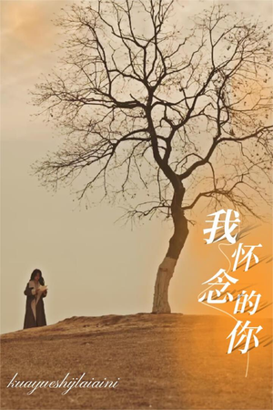 【我怀念的你】38集高清短剧免费在线观看