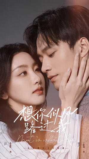 【想你似风路过我】40集在线短剧免费观看