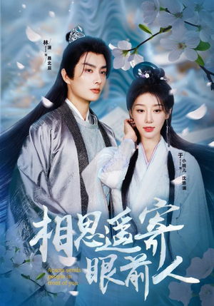 相思遥寄眼前人（83集）免费看