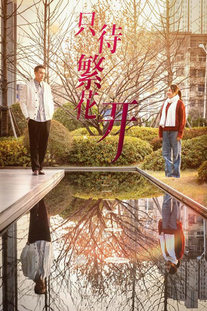 【只待繁花开】35集短剧全网免费看全集