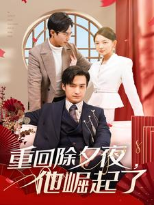 【重回除夕夜他崛起了】89集免费短剧在线完整看