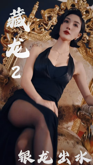 【藏龙2银龙出水】35集短剧免费全集赏览