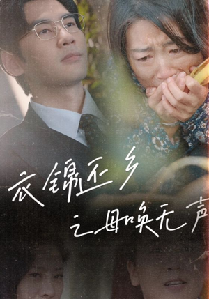 【衣锦还乡之母唤无声】60集短剧免费在线速看