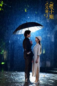 【又见面了楼小姐】68集短剧全集在线速览