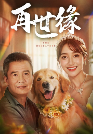 【再世缘】41集短剧免费全集畅快观看