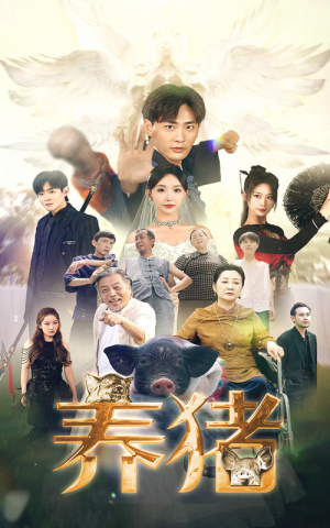 【养猪】74集短剧高清免费在线观