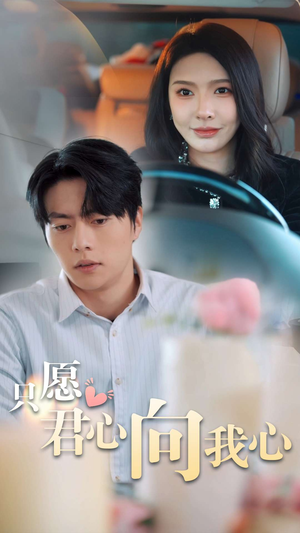 【只愿君心向我心】31集短剧在线免费观览