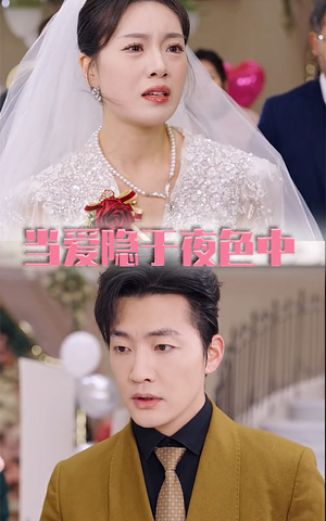 【当爱隐于夜色中】37集短剧免费在线览观