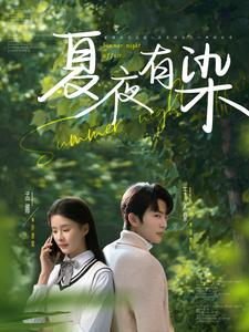【夏夜有染】81集短剧在线免费完整观看