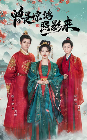 【曾是惊鸿照影来】64集在线看短剧不收费