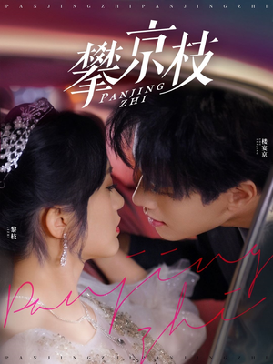 【攀京枝】80集短剧免费在线高清看