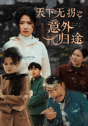 【天下无拐之意外归途】61集短剧免费全集观映